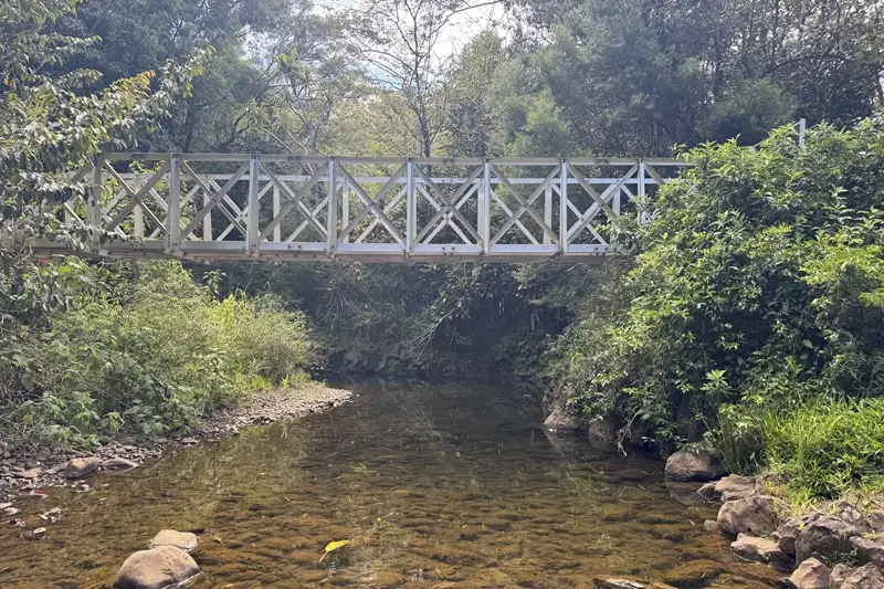 Twin Falls Maui footbridge over a shallow stream surrounded by tropical greenery