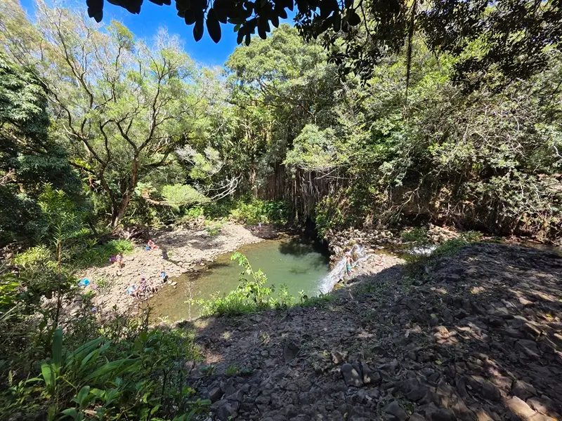 Twin Falls Maui swimming hole with a small waterfall and visitors below the forest trail