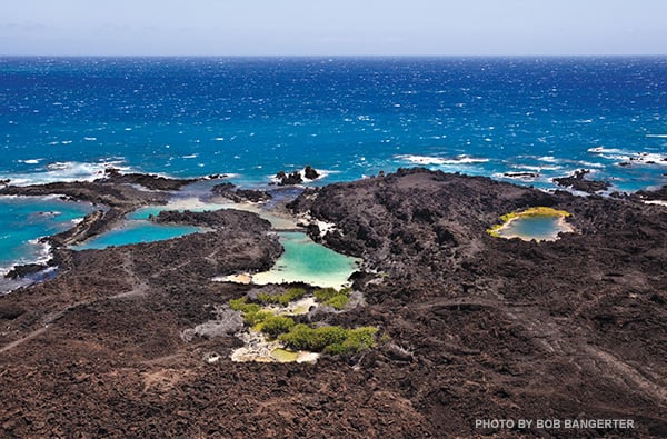 Ahihi Kinau Maui lava coastline with tide pools and bright blue ocean water
