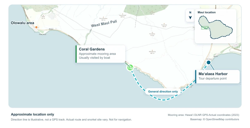 Map showing the approximate Coral Gardens snorkeling area between Maʻalaea Harbor and Olowalu on Maui