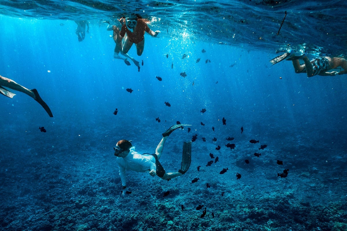 Snorkelers swimming above a Maui reef with fish below and one swimmer diving beneath the surface